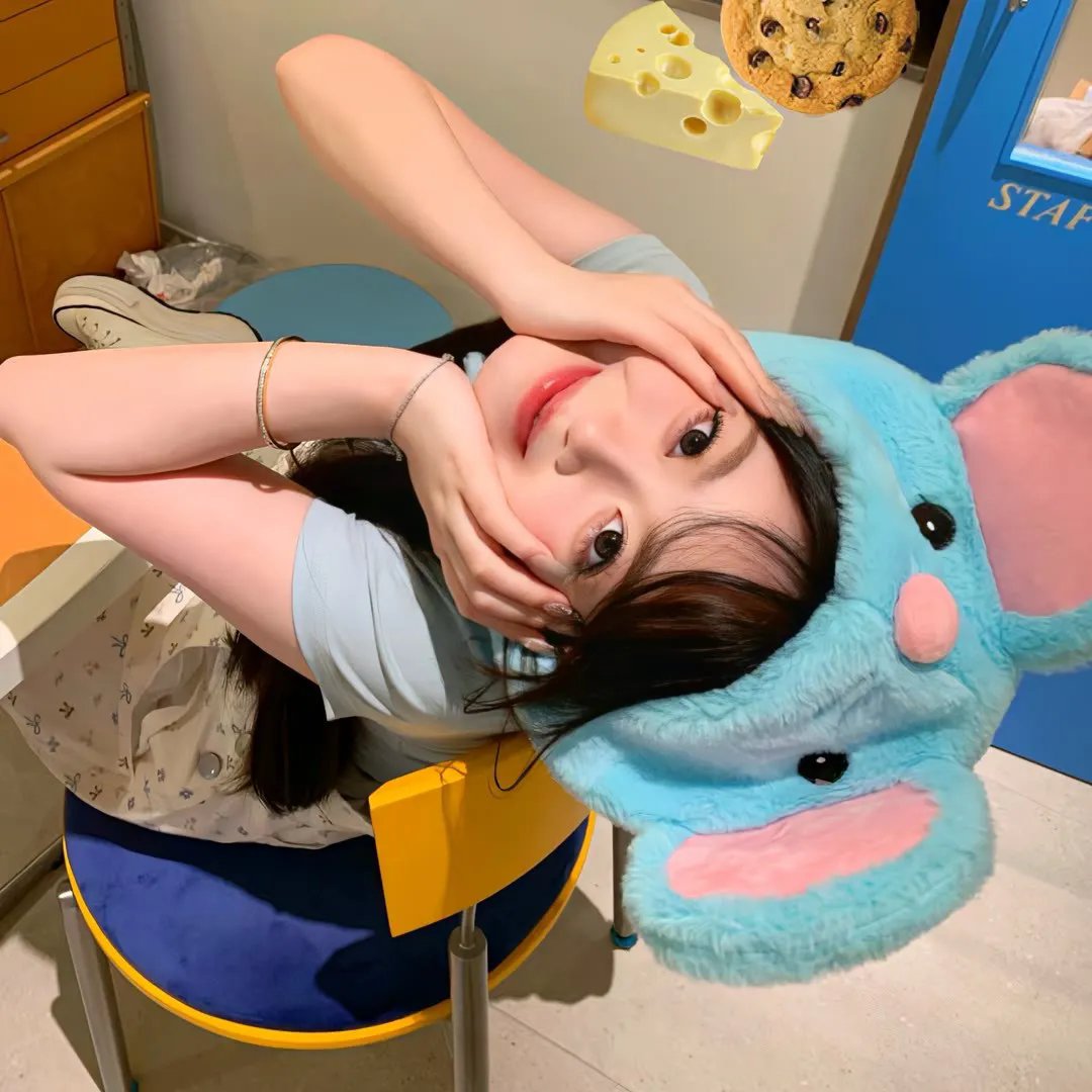 春光灿烂猪八戒